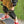 Load image into Gallery viewer, Junior Skateboard Pad Set