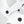 Load image into Gallery viewer, PHANTOM 2024