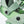 Load image into Gallery viewer, PHANTOM 2024