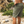 Load image into Gallery viewer, Deckhand Utility Trunks