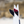 Load image into Gallery viewer, MACHADO - TOO FISH KEEL - FUTURE