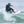Load image into Gallery viewer, TOO FISH