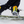 Load image into Gallery viewer, Kaon Plus 2025