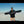 Load and play video in Gallery viewer, NITRO T1 SNOWBOARD
