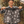 Load image into Gallery viewer, Uno Mas Volleys