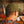 Load image into Gallery viewer, Forester Snapback
