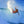 Load image into Gallery viewer, A.I. Exacta Pro
