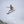 Load image into Gallery viewer, The Griffin
