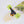 Load image into Gallery viewer, Offshore Temple
