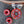 Load image into Gallery viewer, 56mm Gregson Masher II Elite Red Black Mini Combo 97a OJ Skateboard Wheels
