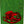 Load image into Gallery viewer, Mike McGill Skull &amp; Snake Skateboard Deck Green/Gold Foil
