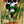 Load image into Gallery viewer, Mike McGill Skull &amp; Snake Skateboard Deck Green/Gold Foil

