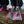 Load image into Gallery viewer, Yucca Squinty Short Blade Fins - Super Flex
