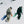Load image into Gallery viewer, L Gore-Tex Pants - Moss Green
