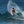 Load image into Gallery viewer, Speed Demon
