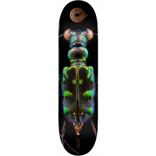 Powell Peralta BISS Tiger Beetle Skateboard Deck - Shape 248 - 8.25 x 31.95