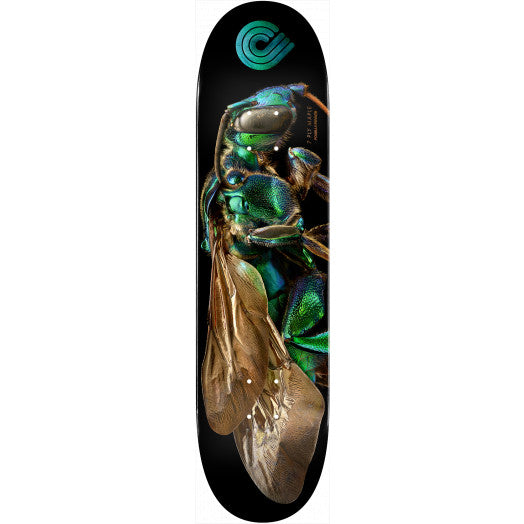 Powell Peralta BISS Cuckoo Bee Blem Skateboard Deck - 8 x 31.45